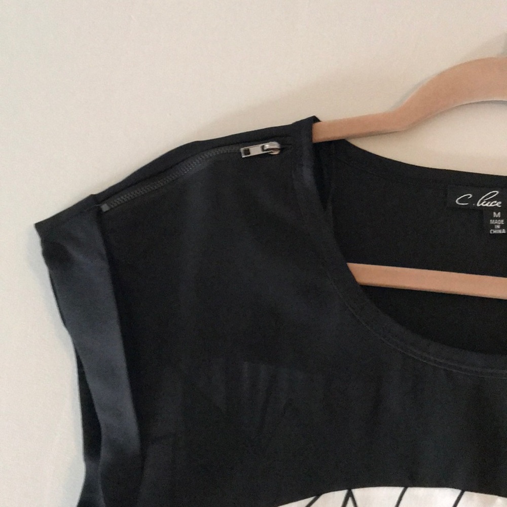 C.Luce Top. - Picture 3 of 4